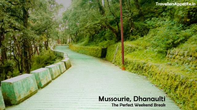 Dhanaulti & Mussoorie : A Perfect weekend Getaway